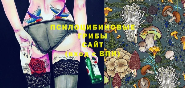 гидра Абинск