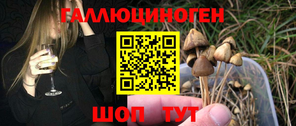 Псилоцибиновые грибы Cubensis Гусь-Хрустальный